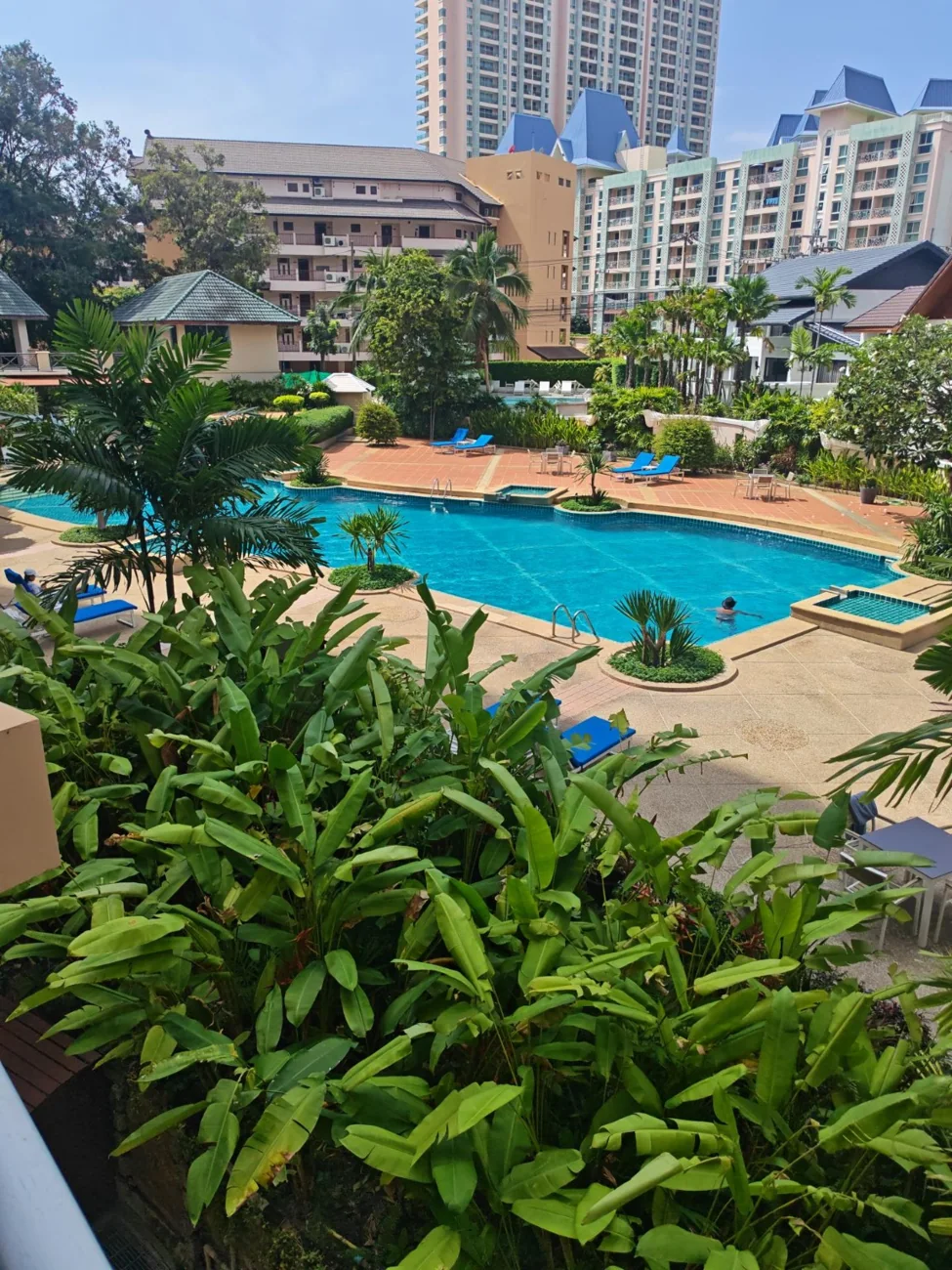 Actual Chateau Dale swimming pool and tropical gardens